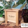 Mini Planter Mini Planter