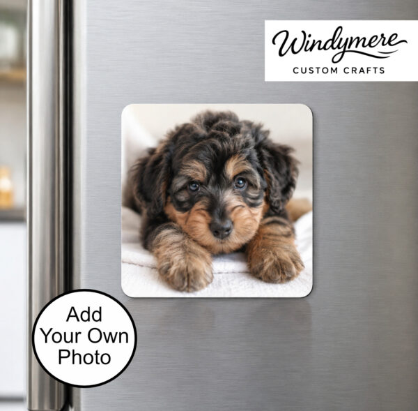 Custom Magnet Custom Magnet